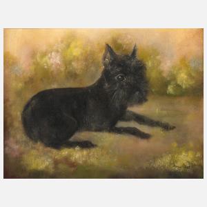 Hanna Fürst, Hundeportrait