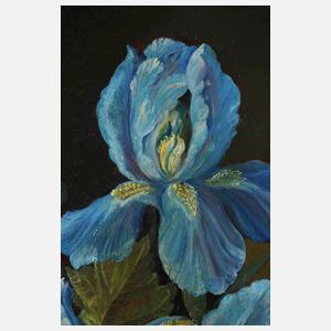 Richard Handler, Blumenstillleben