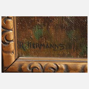 Rudolf Hermanns, Lüneburger Heide