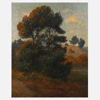 Otto Krone, Kiefern im Abendlicht111