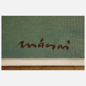 Istvan Macsai, Lesende