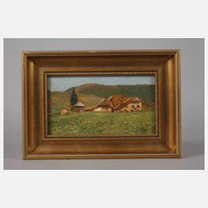 Menegazzi, Blühende Wiese am Bauernhof