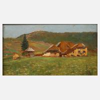 Menegazzi, Blühende Wiese am Bauernhof111