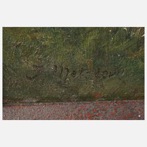 J. Metzler, Partie im Mittelgebirge