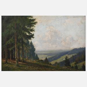 J. Metzler, Partie im Mittelgebirge