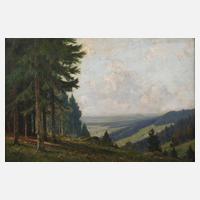 J. Metzler, Partie im Mittelgebirge111