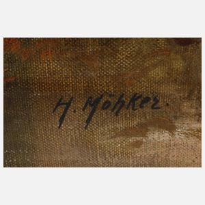 H. Möhker, In den Pontinischen Sümpfen