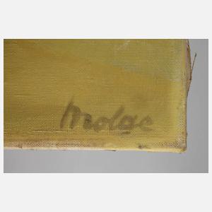 Molge, Sommer in den Alpen