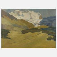 Molge, Sommer in den Alpen111