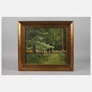 Prof. Paul Müller-Kaempff, Sonnige Waldlichtung