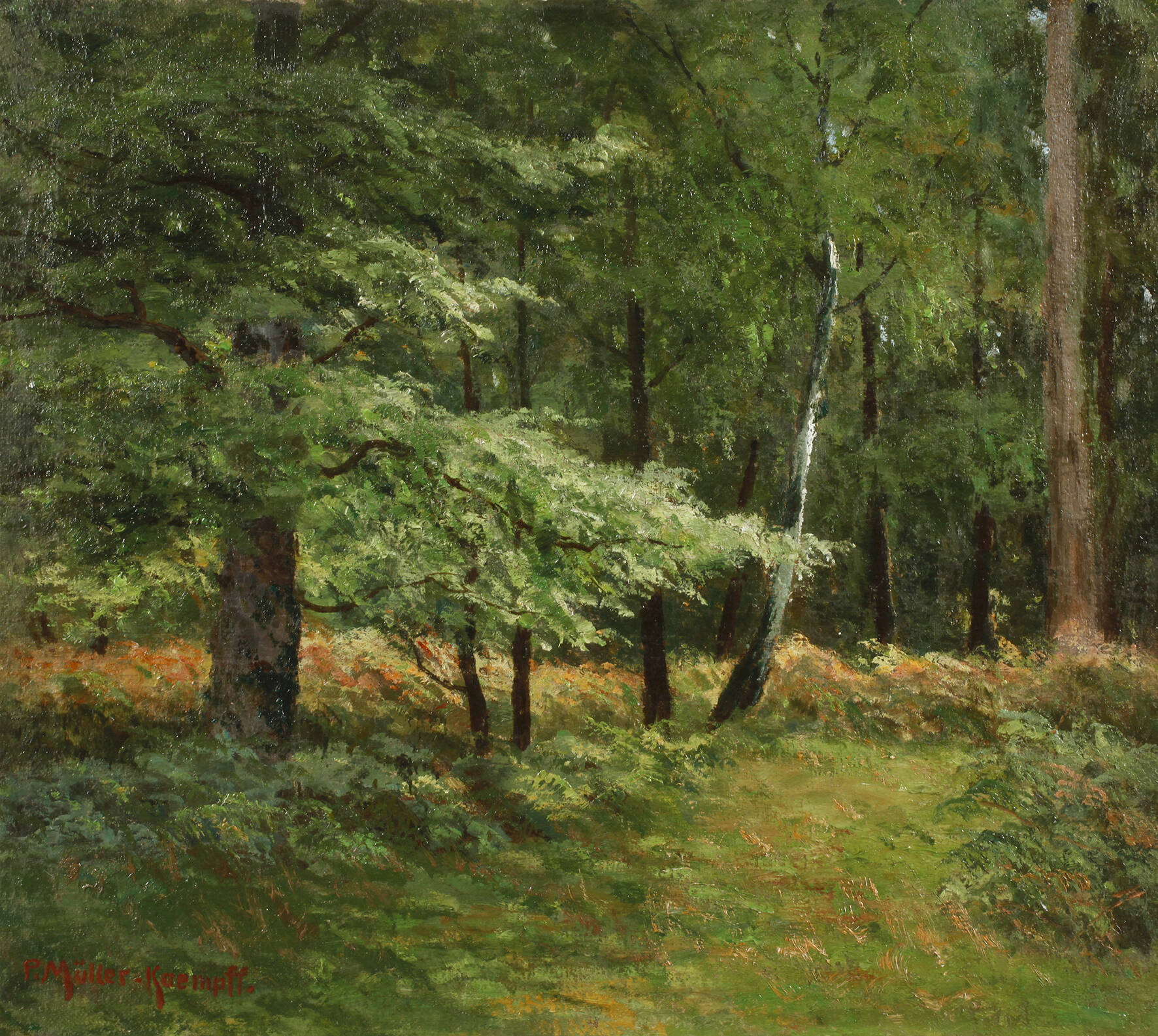 Prof. Paul Müller-Kaempff, Sonnige Waldlichtung