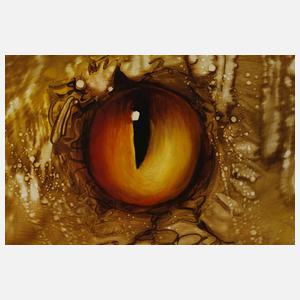 Mystische Komposition