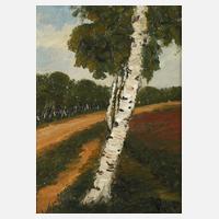 Hans Pick, Birken in der Landschaft111