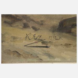 Rez, Schiff vor Küste