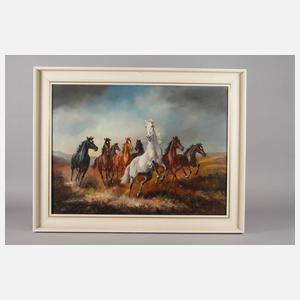 Hans Riedmann, Wildpferde