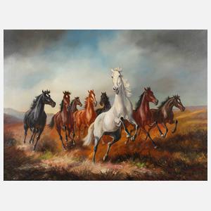 Hans Riedmann, Wildpferde