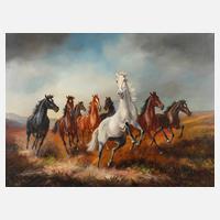 Hans Riedmann, Wildpferde111