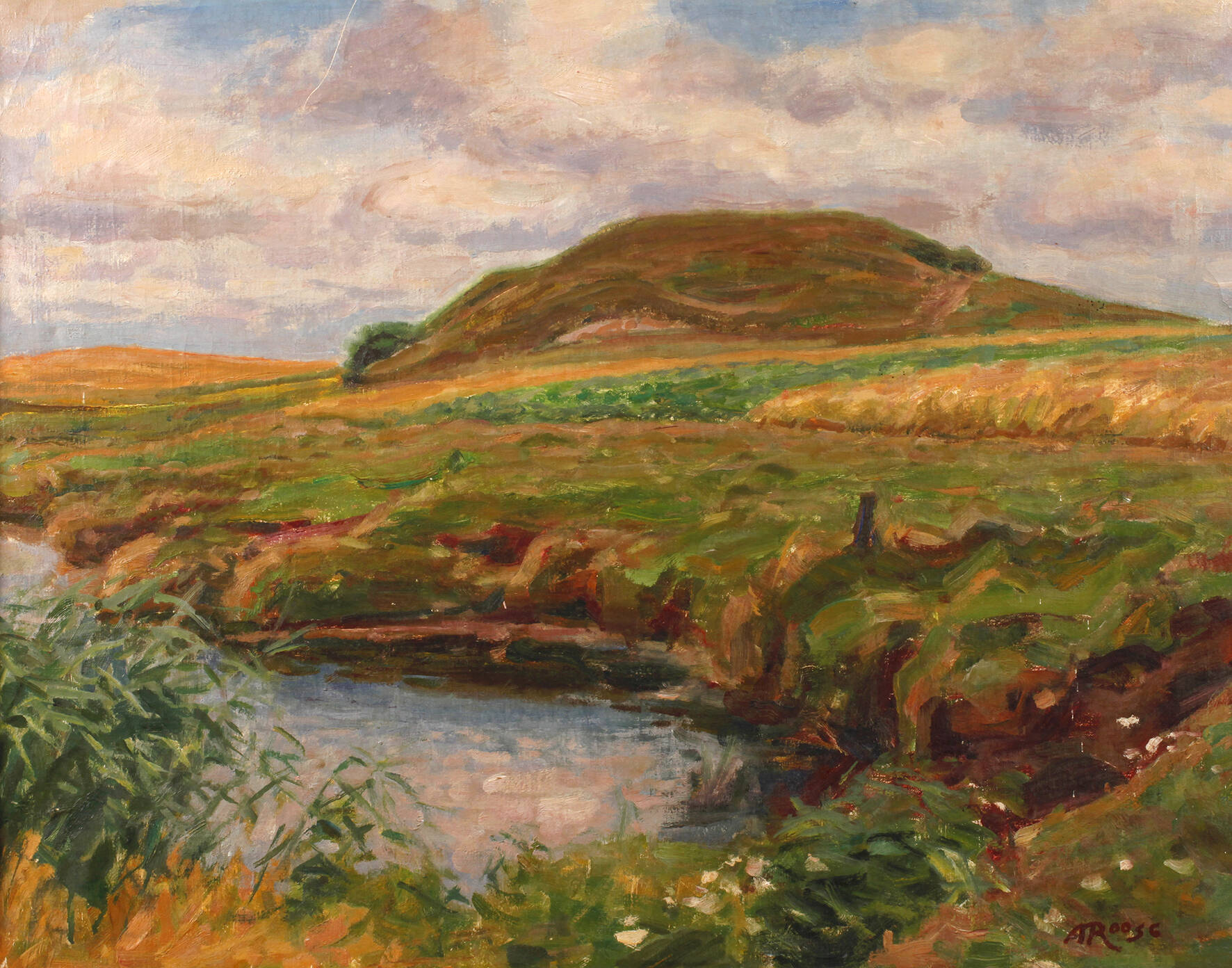 Aage Roose, "Jütländische Landschaft"