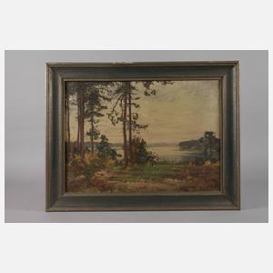 Hans Salzmann, attr., Seelandschaft