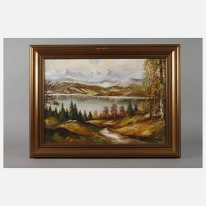 Rudi Schneiderbanger, See im Gebirge