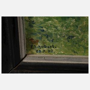 E. Schubert, Sommer am See