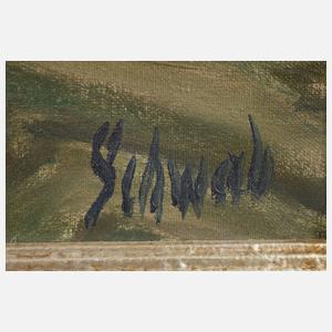 Schwab, Haus am Fluss