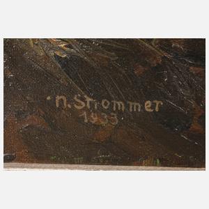 N. Strommer, Alpiner Bauernhof