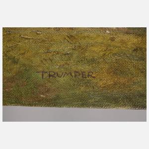 Prof. August Trümper, Hof bei Düsseldorf