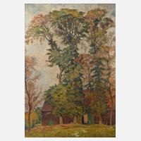 Prof. August Trümper, Hof bei Düsseldorf111