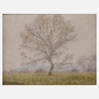 Otto Karl Welbers, "Alte Pappel"111