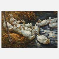 Enten am Teichrand111