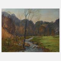 Frühlingshafter Bachgrund111