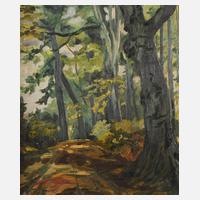 Sommerlicher Waldweg111