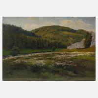 Blühende Bachaue111