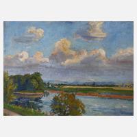 Sommerliche Flusslandschaft111