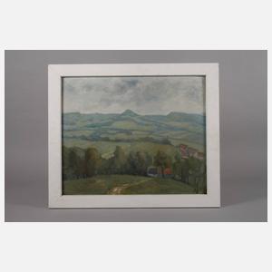 Hügelige Sommerlandschaft