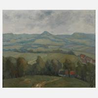 Hügelige Sommerlandschaft111