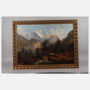 Sommerliche Hochgebirgslandschaft