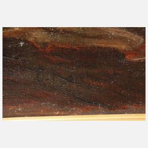 Sommerliche Hochgebirgslandschaft