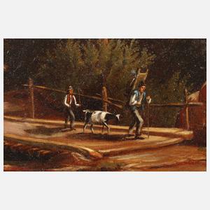 Sommerliche Hochgebirgslandschaft