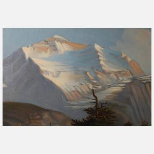 Sommerliche Hochgebirgslandschaft