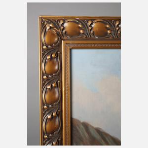 Sommerliche Hochgebirgslandschaft