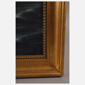 Meereswogen im Abendlicht