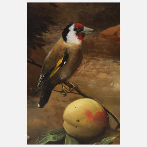 Stillleben mit Papageien und Stieglitz