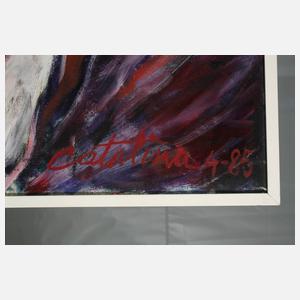 Catalina Braun, Cellistin