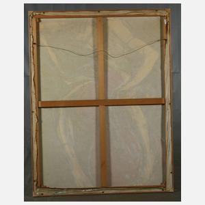 Catalina Braun, Cellistin