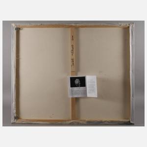 Isabell Schardt, Farbkomposition