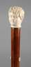 Spazierstock Elfenbein