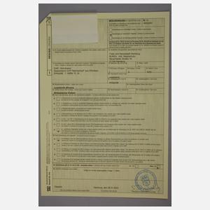 Spazierstock Elfenbein