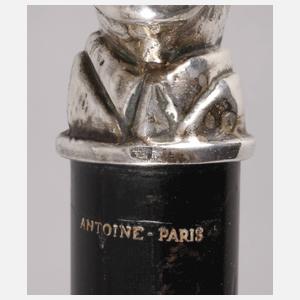 Spazierstock Frankreich